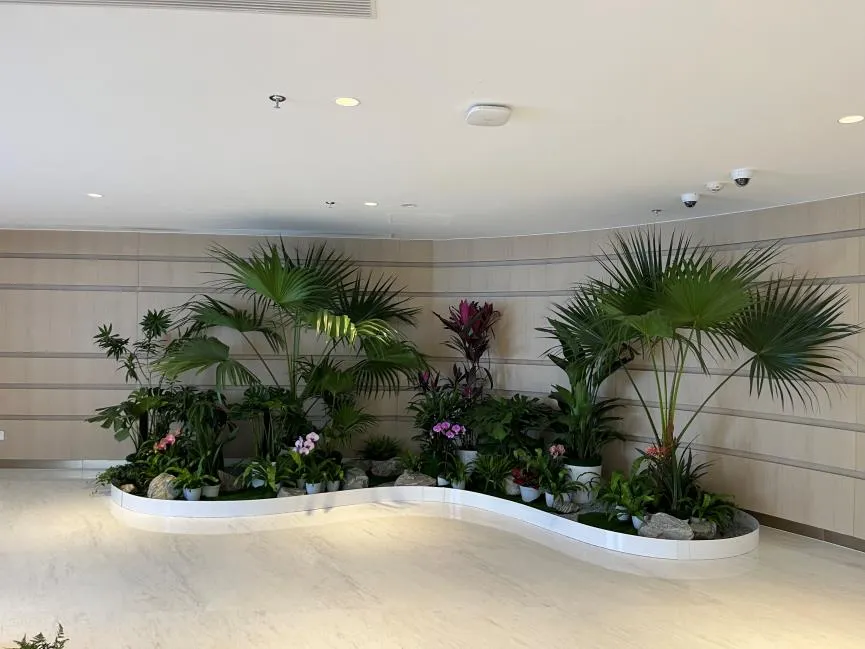 紧跟搜索习惯！宁波北仑绿化修剪方案抢先看